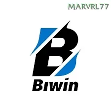 Biwin